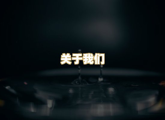 关于我们