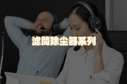 滤筒除尘器系列
